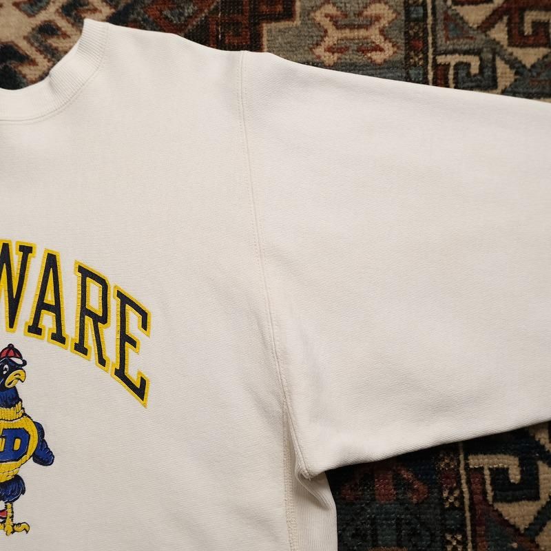 1990's CHAMPION REVERSE WESVE (DELAWARE)