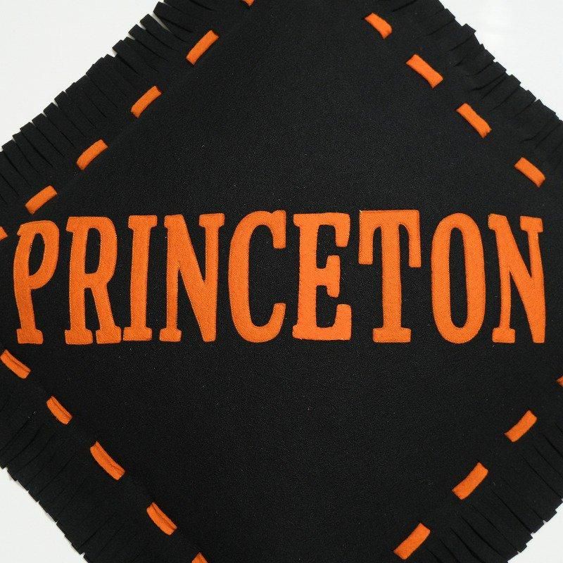 1910's PRINCETON COLLEGE CUSHION