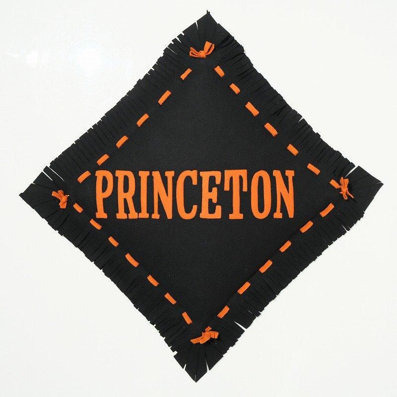 1910's PRINCETON COLLEGE CUSHION