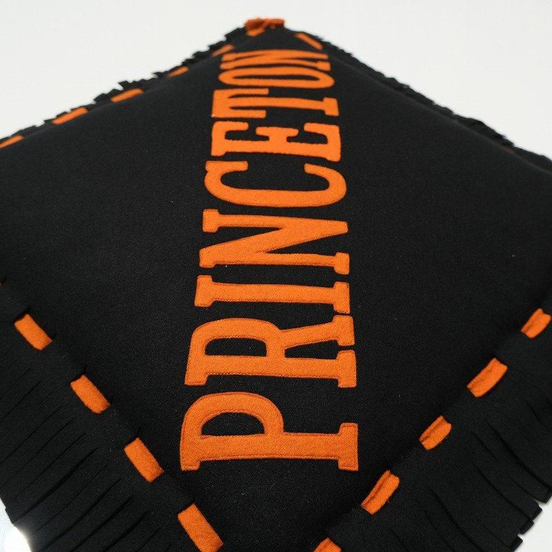 1910's PRINCETON COLLEGE CUSHION