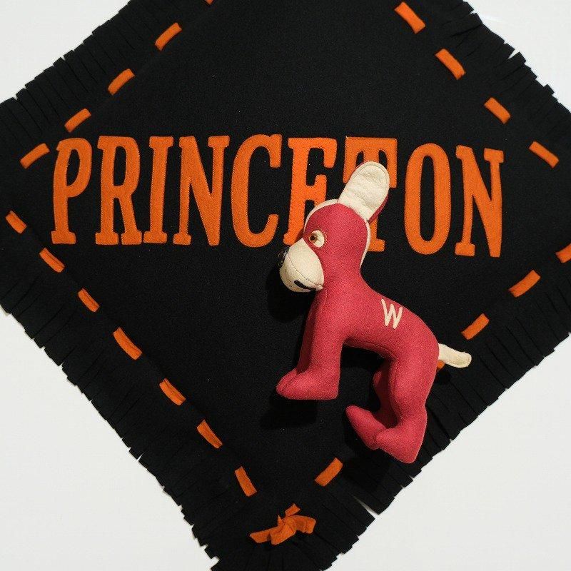 1910's PRINCETON COLLEGE CUSHION