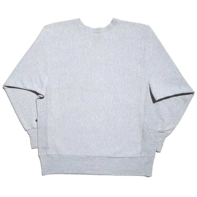 1990's CHAMPION REVERSE WEAVE (Earthquake 89)