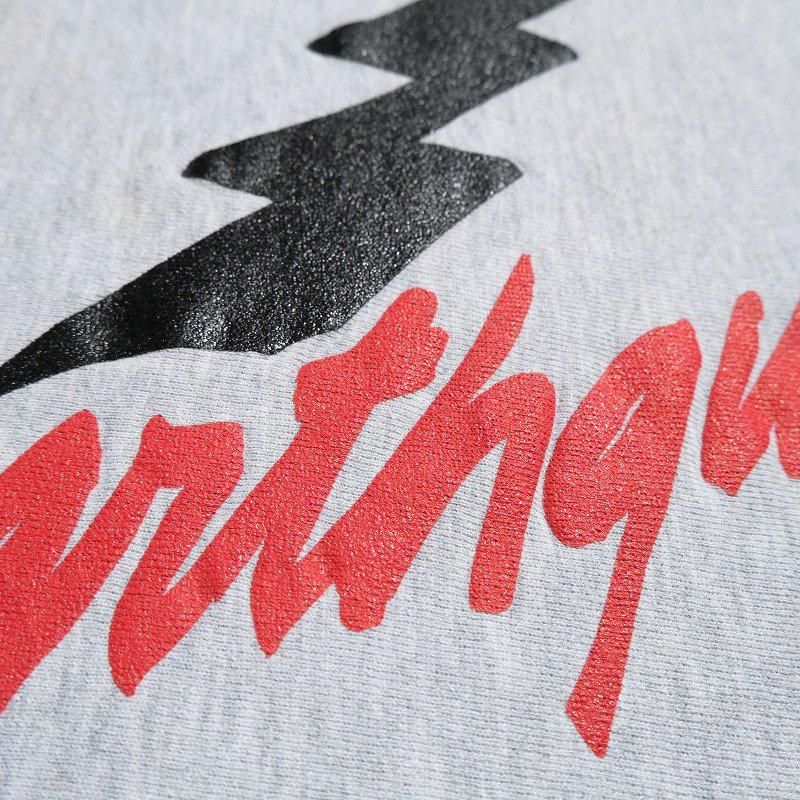 1990's CHAMPION REVERSE WEAVE (Earthquake 89)