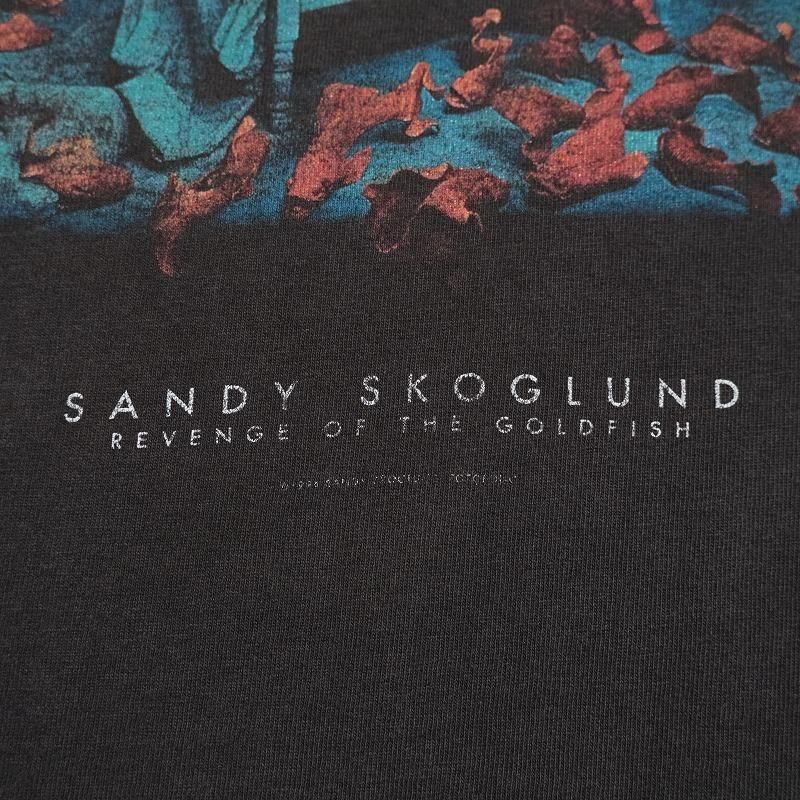 1990's SANDY SKOGLUND 