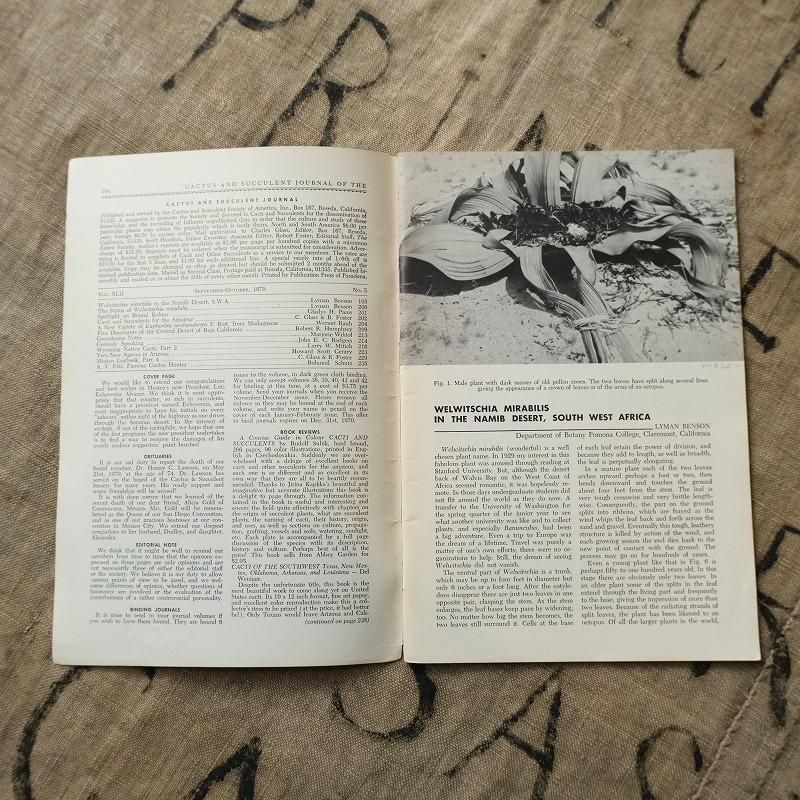 1970's CACTUS AND SUCCULENT JOURNAL