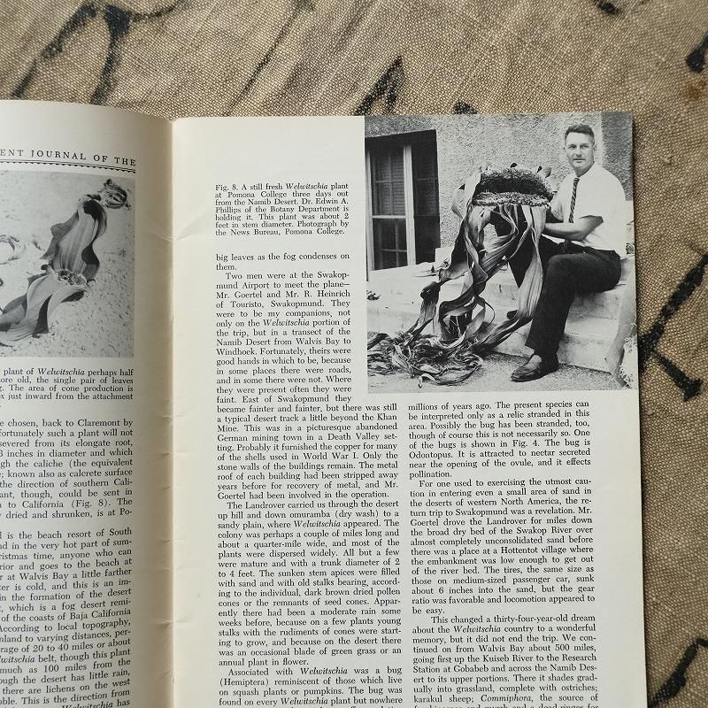 1970's CACTUS AND SUCCULENT JOURNAL