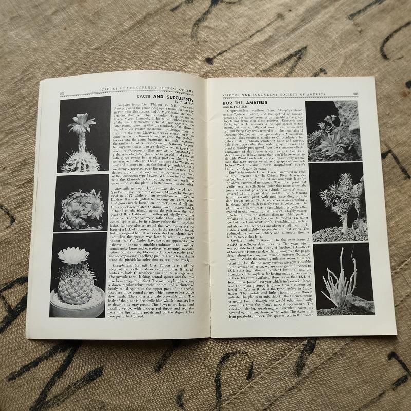 1970's CACTUS AND SUCCULENT JOURNAL