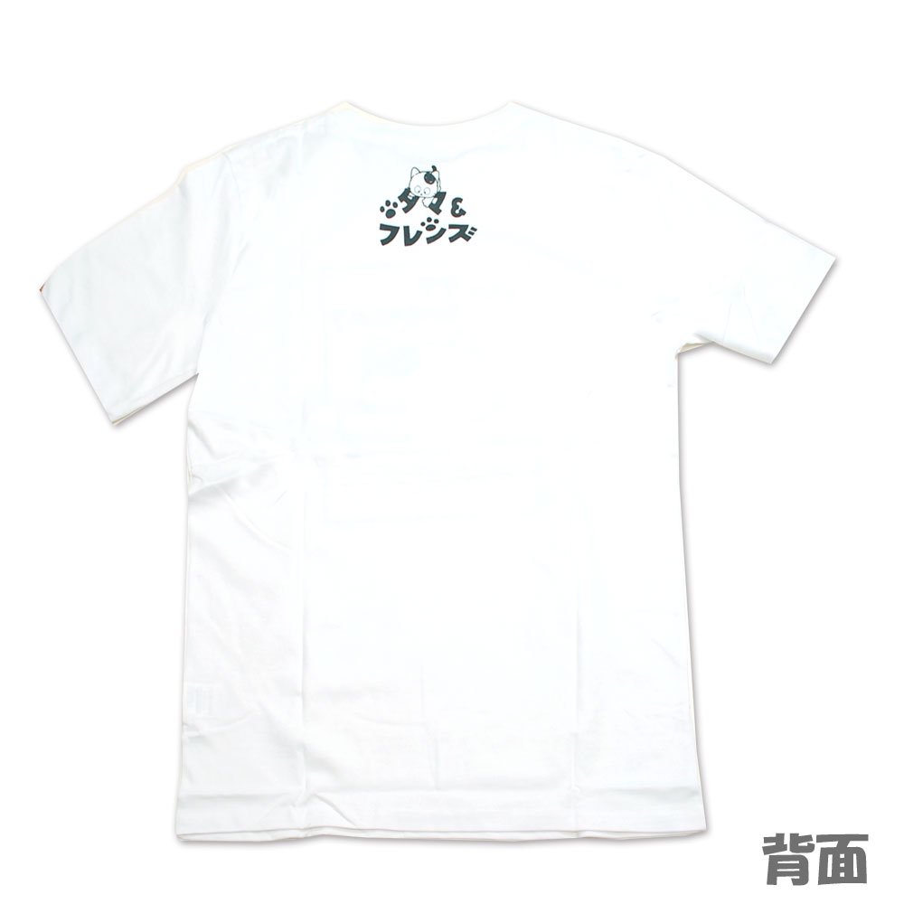 天竺 半袖Tシャツ（ホワイト/M）　UT1182-430　TA