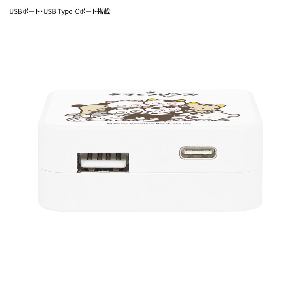 USB/USBType-C　ACアダプタ（集合）TAMA-09A　TA