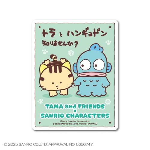 タマ&フレンズ×大起水産クリアファイルとサンリオ×お寿司のステッカー・クリップ シナモロール お寿司 透明ステッカー たまご ダイカット