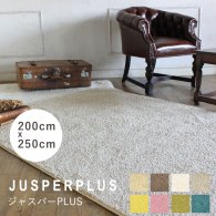 ラグ プレーベル ジャスパーPLUS jusperplus-200x250 リプロ