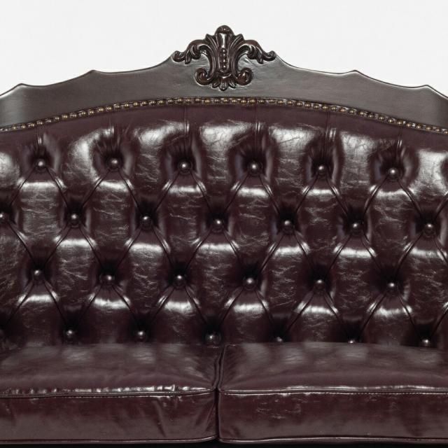 Ĵ ե 2ͳݤ֥饦ե졼ߥ祳졼PU쥶() e1166-2-5p38b ץ D 140*60*100