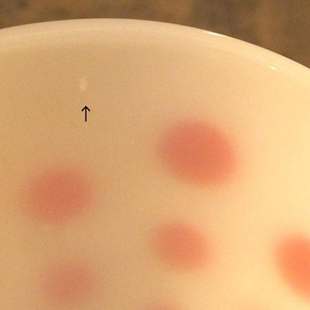 ファイヤーキング グリースジャー ファイヤーキング レッドドットグリースジャー(ホワイトカラー