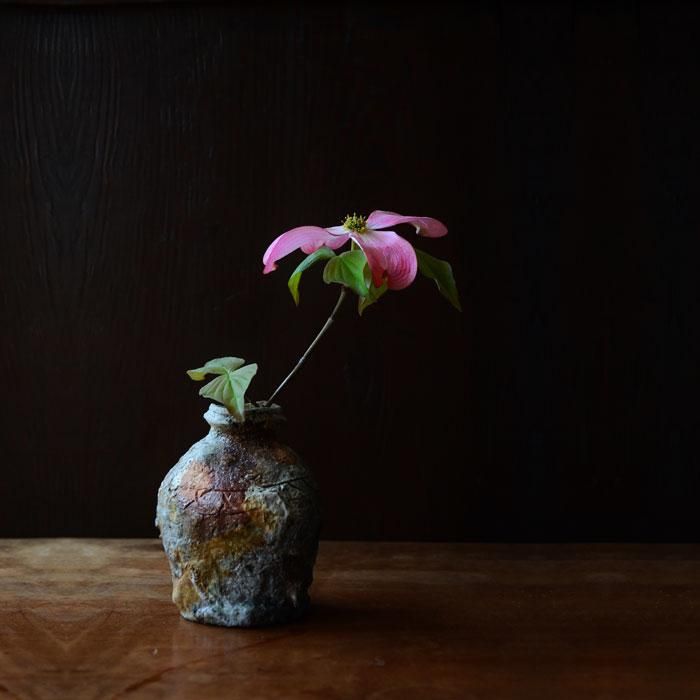 陶芸家 藤本秀【Galleryてとて】