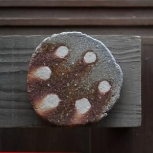 陶芸家 藤本秀【Galleryてとて】