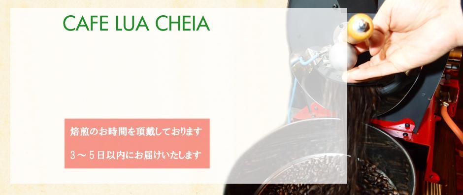 CAFE LUA CHEIA
