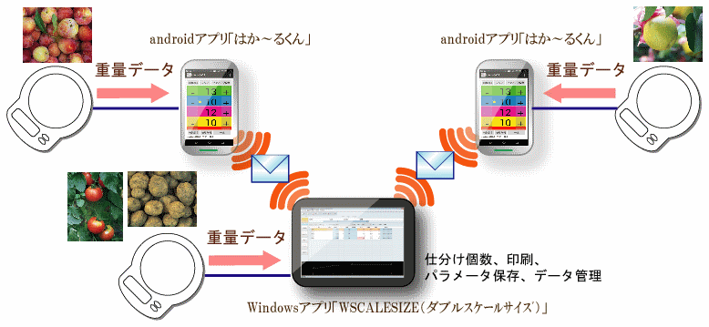 ̤ˤʬ̤ǤΤ餻WindowsץꡡWSCALESIZEʥ֥륹륵