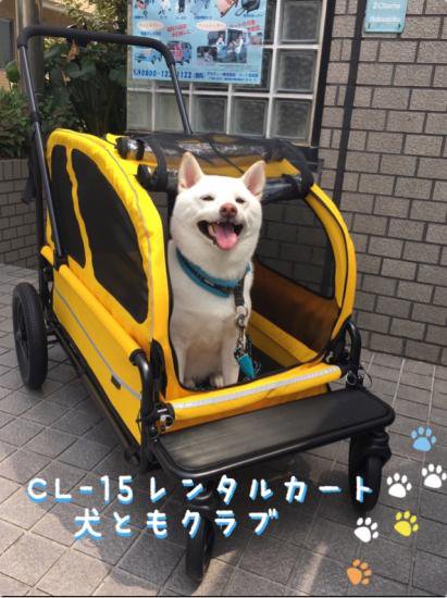 ☆CL-15ペットカート☆大人気のｴｱﾊﾞｷﾞｰ ｷｬﾘｯｼﾞ（レンタル商品） - 愛犬サポート　犬ともクラブ