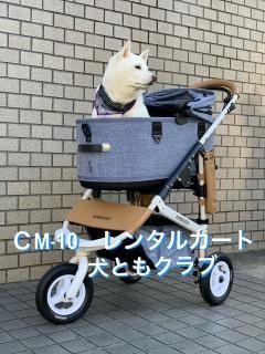 カート バギー 中型犬 愛犬サポート 犬ともクラブ