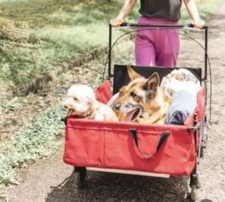 ペットカートマット　オーダー承ります ペットカートマット オーダー承ります