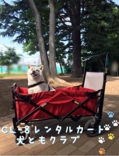 ペットカートマット　オーダー承ります ペットカートマット オーダー承ります