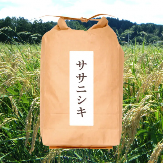無農薬 JAS有機米 宮城県大崎産 ササニシキ5㎏