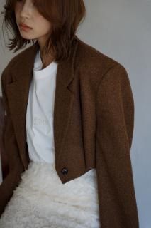 <img class='new_mark_img1' src='https://img.shop-pro.jp/img/new/icons8.gif' style='border:none;display:inline;margin:0px;padding:0px;width:auto;' />Wool Short Length Jacket<br>[BLACK/BROWN]