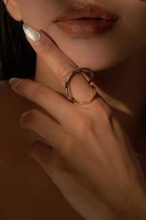 Dioscuri Silver&Gold<br>Х顼2Ϣץ