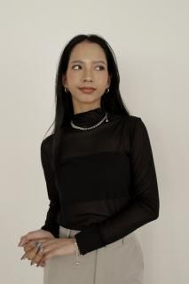 <img class='new_mark_img1' src='https://img.shop-pro.jp/img/new/icons8.gif' style='border:none;display:inline;margin:0px;padding:0px;width:auto;' />High Neck Sheer Tops<br>[OFFWHITE/BLACK]