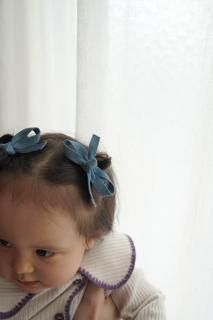 <img class='new_mark_img1' src='https://img.shop-pro.jp/img/new/icons8.gif' style='border:none;display:inline;margin:0px;padding:0px;width:auto;' />Denim Ribbon Hair Clip 2set<br>[å]