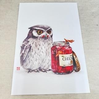 ƲݥȥɡإեꥫΥϥȥҥ襳