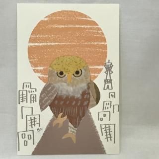 aya yonezawa ݥȥɡɤؤ椯