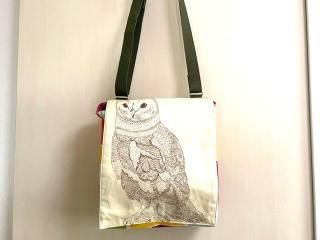 Chiara OWL ĹХå  դ