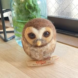 ̡ʪΤꥪե 