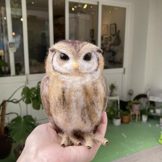 フクロウの剥製 コノハズク 約30cm - メルカリ