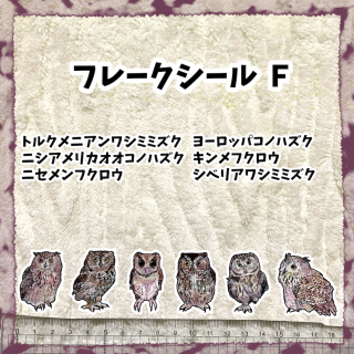 Ф顡ߥåե졼ʣƥåȡ˥ȥ륯˥亮ߥߥ˥ꥫΥϥ衼åѥΥϥ˥եեȥ륯˥亮ߥߥ