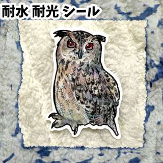 Ф顡֥桼饷亮ߥߥ