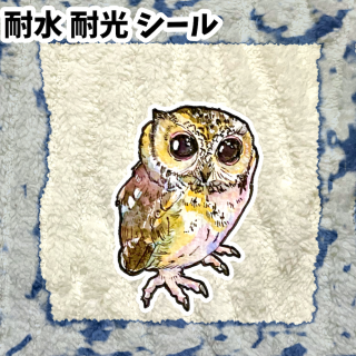 Ф顡֥顼ɥΥϥʥɥΥϥˡ