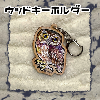 Ф顡åɥۥ֥˥塼ɥХ