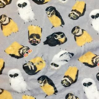 Ʋ֥󥱥åȡإᥬͥե