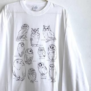 ëե֥å BIG륨åȥTġؤդե١ۥ磻