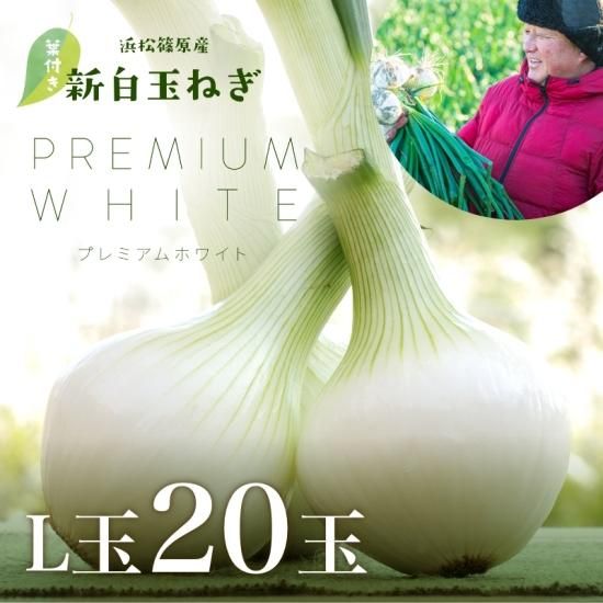 浜松産白玉ねぎプレミアムホワイト葉付きA級品(L20玉)|浜名湖産直