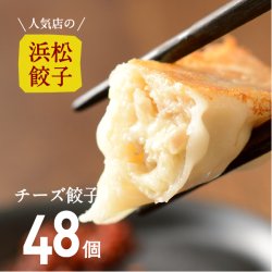 【人気店の浜松餃子】とろ〜りとろけるチーズ餃子【48個】ご家庭用