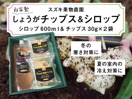 スズキ果物農園の無添加生姜チップス2袋 シロップ1本 送料無料 浜名湖産直マーケット 浜名湖うなぎ 三ヶ日みかんなど浜名湖の旬を産地直送でお届け スズキ果物農園の無添加生姜チップス2袋 シロップ1本 送料無料 浜名湖産直マーケット 浜名湖うなぎ 三ヶ日みかんなど浜名湖の旬を産地直送でお届け