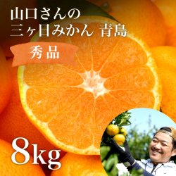 三ケ日濃厚熟みかん「青島」8kg(S〜LLサイズ)（秀品相当）