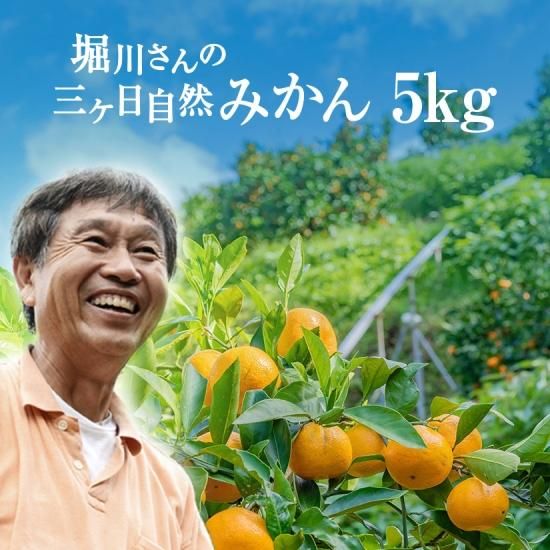 三ケ日産の完全無農薬みかん5kg S Llサイズ 浜名湖産直マーケット 三ケ日産の完全無農薬みかん5kg S Llサイズ 浜名湖産直マーケット