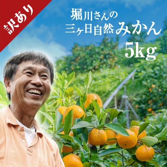 【訳あり】堀川さんの三ヶ日産自然栽培みかん5kg（サイズ不選別）