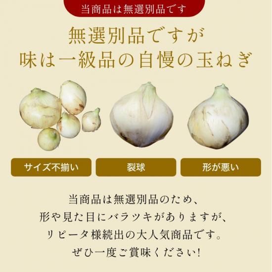 最旬】浜松産新玉ねぎプレミアムフレッシュ無選別品（5kg