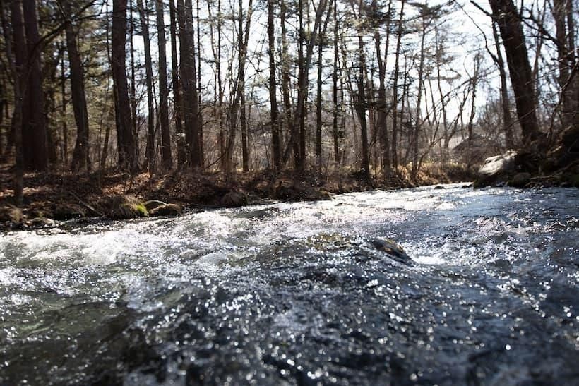 大人におすすめの自然派ワイン・ナチュラルワイン 通販 CERCLE ONLINE
