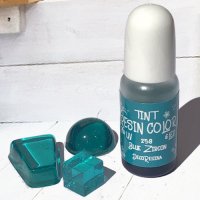 ǥ쥸 忧 Ʃ쥸󥫥顼TINT 10g ֥롼륳